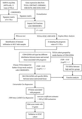 Evaluating Distribution and Prognostic Value of New Tumor-Infiltrating Lymphocytes in HCC Based on a scRNA-Seq Study With CIBERSORTx